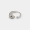 Anillo Roarica Anillo Roarica